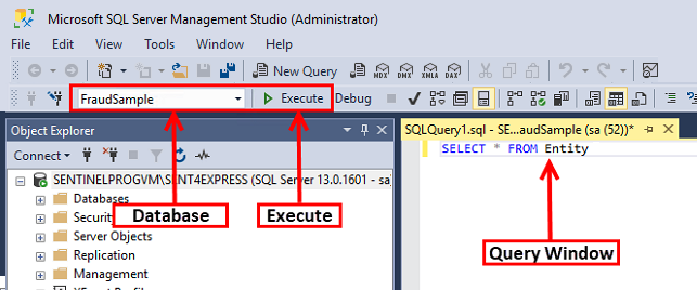 Microsoft SQL Server Management Studio Execute Query